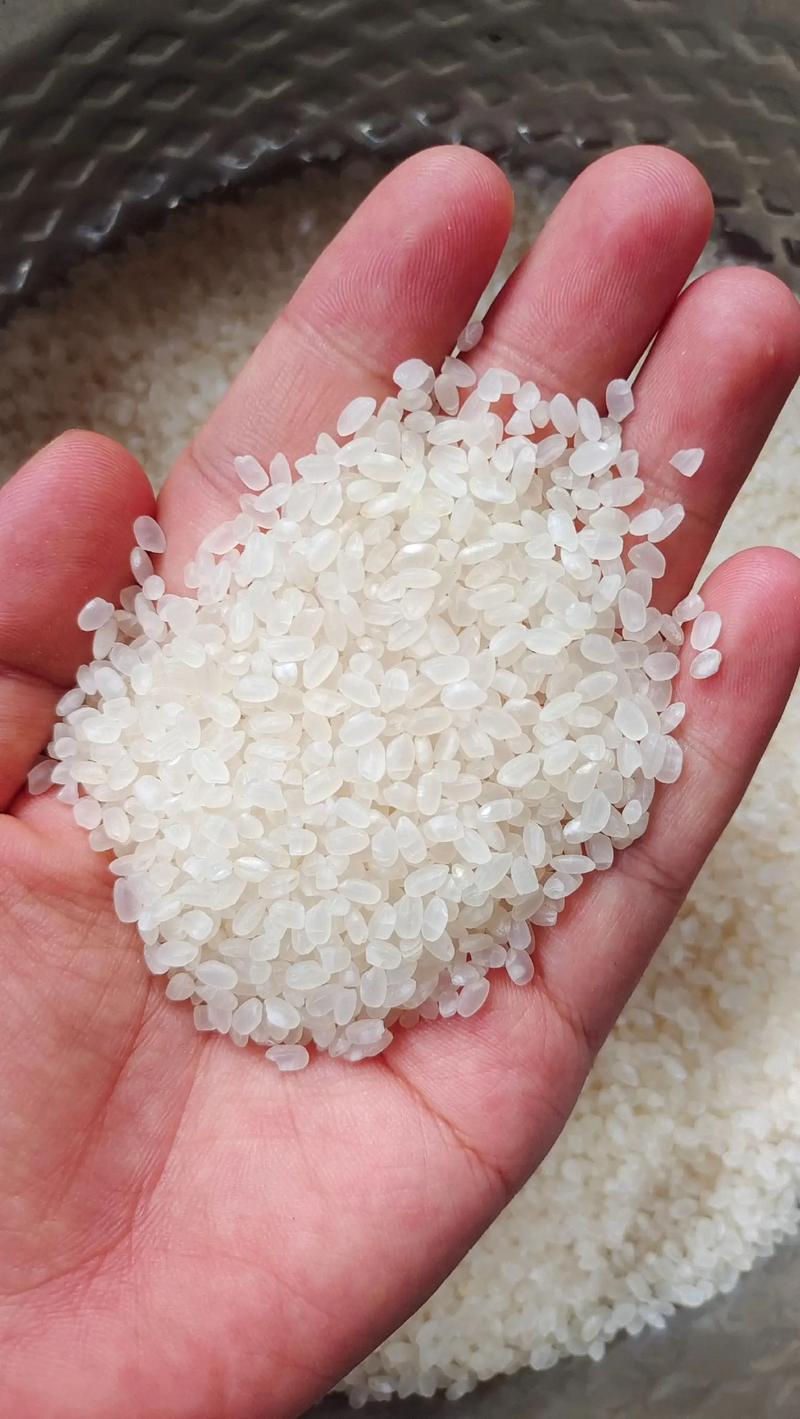 农产品市场动态：聚焦郴州粮食批发行业