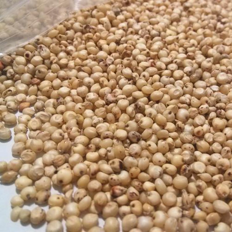探寻郴州粮食批发行业的最新动态